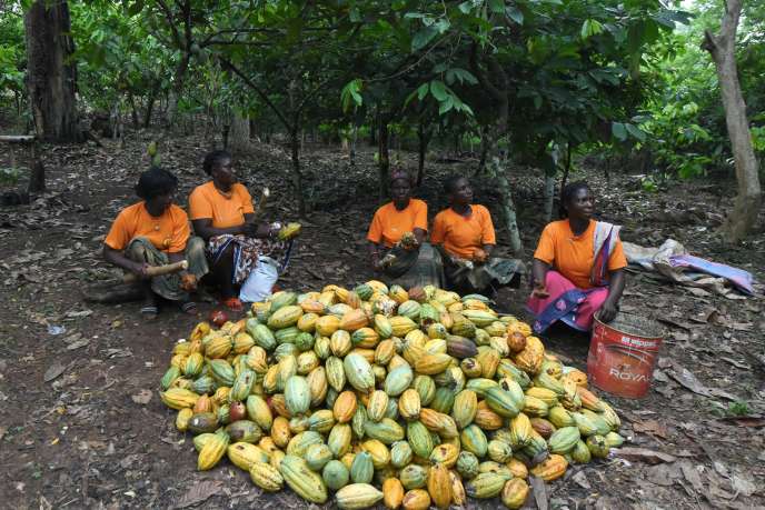 Femmes d’une coopérative cacaoyère à Adzopé, dans le sud de la Côte d’Ivoire, le 17 avril.